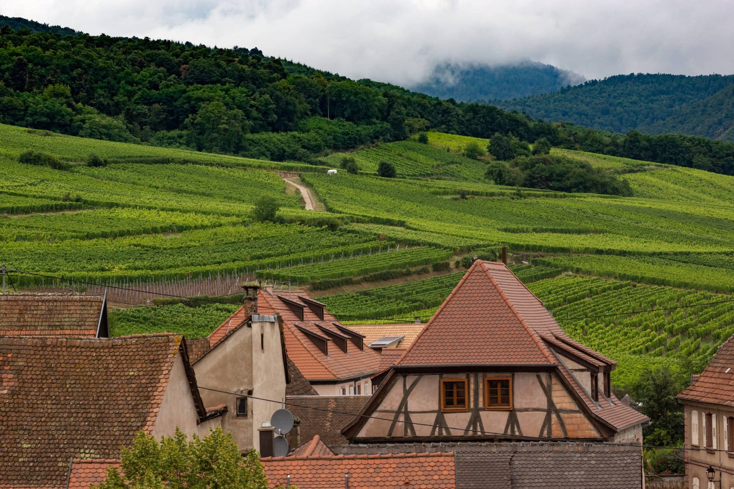 route des vins alsace à vélo